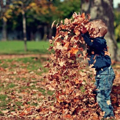 Agenda infantil lisboa LX